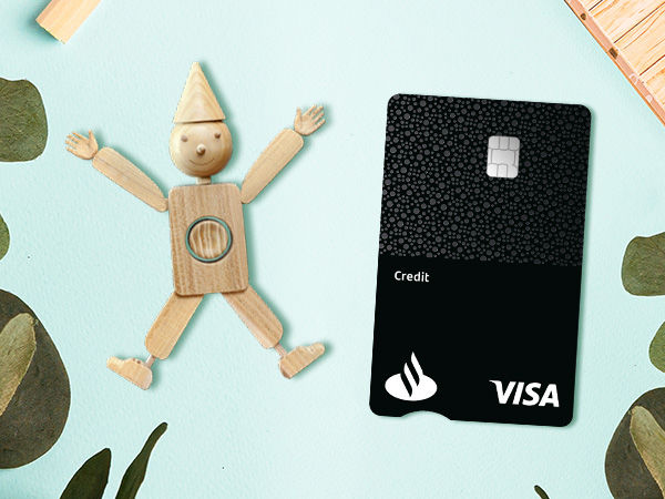 Visa Silver “Akcja Pajacyk”, MasterCard Silver 